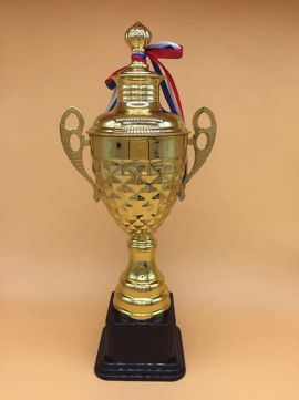 Cúp đồng thể thao 3T-02