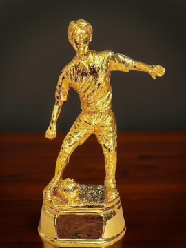 Cúp vinh danh hình người 3T