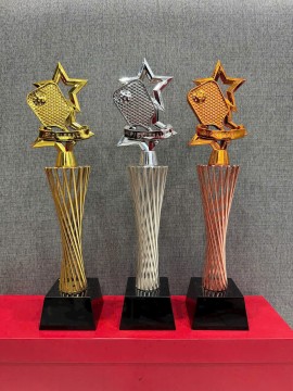 Cúp kim loại mạ vàng 3T