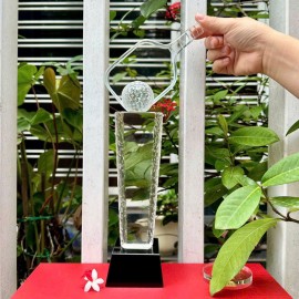 Cúp pickleball 3T - 01