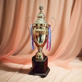 Cúp đồng thể thao 3T