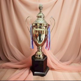 Cúp đồng thể thao 3T - 06